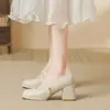 Populares zapatos Mary Jane para mujer, nuevo estilo otoño 2026, tacones altos de plataforma de hada, suela suave, elegantes zapatos de dama de honor
