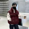 Chaleco de Algodón con Plumas para Niños Otoño Invierno 2026 Estilo Nuevo Ropa de Invierno para Niños Grandes Chaleco Grueso de Invierno para Niños con Cuello Alto