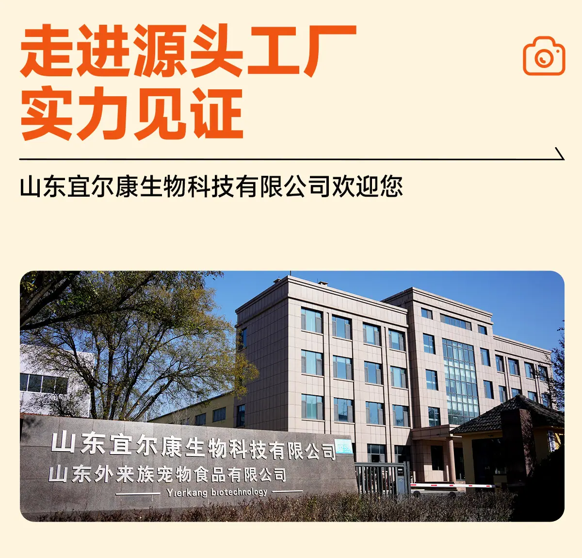 乌龟_09.jpg