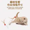 Juguete para gato pluma bola rebotante, bola de ejercicio, palo para provocar gato, gadget de autoentretenimiento, juguete interactivo para gato para consumo de energía