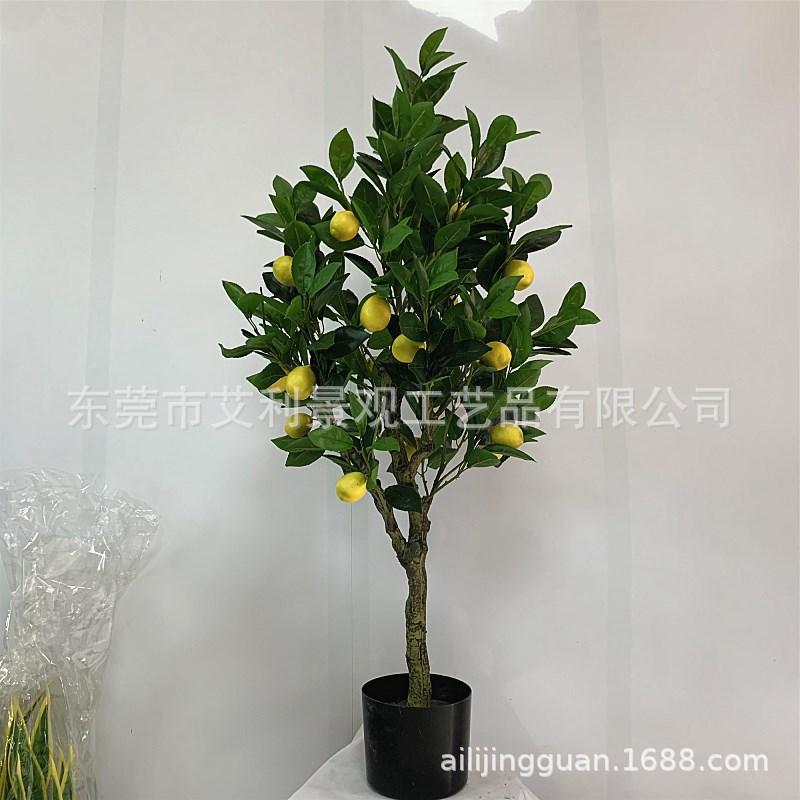 d7f744bc7d35daa4887fa7ce106bad