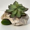 Planta Suculenta Simulada Envasada Sala de Estar Doméstica Planta Verde Micro Paisagem Suculenta Artificial DIY Acessórios de Bonsai Flor