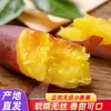 Batatas-doces Pequenas e Perfumadas da Montanha Tianmu, Lin'An, Zhejiang; Batatas-doces de Castanha; Mini Batatas-doces Amarelas Frescas Cultivadas na Fazenda