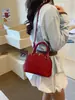 Nuevos Bolsos de Mujer de Alta Gama para el Verano 2026 con una Textura Única, Adecuados para el Trabajo Diario, Cruzados, Modernos, Retro y Bolsos al por Mayor para Mujer