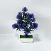 Bonsái de Planta Artificial Transfronterizo, Plantas Pequeñas de Árbol Artificial en Maceta, Macetas de Plástico, Plantas Verdes, Decoraciones de Flores Artificiales en Maceta, Artículos Populares