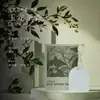 Incensário Pendurado para Carro Guarda-Roupa Especial Difusor de Gesso Aromaterapia Pedra para Casa Quarto Fragrância Duradoura Pastilhas de Incenso Osmanthus Premium