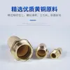 Válvula solenoide neumática cobre acelerador cabeza larga pagoda cabeza plana silenciador BSL-01 pulgada 02 puntos 4 puntos silenciador M5