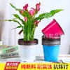 Vasos de Viveiro Bicolor Pretos Personalizados Pp Vasos de Plástico Coloridos para Flores Inquebráveis Fáceis de Usar Tamanho Grande Espessos para Suculentas e Plantas Verdes