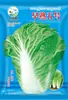 Precoce Não. 5 Sementes de Couve Chinesa no Outono Sementes de Couve Chinesa Baotou Legumes Larvas Semeadas no Outono e Resistentes ao Frio