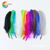 Pluma Wenshu de 14 colores, gran pluma flotante, bricolaje, hecha a mano, pluma de ganso, atrapasueños, decoración, una sola toma