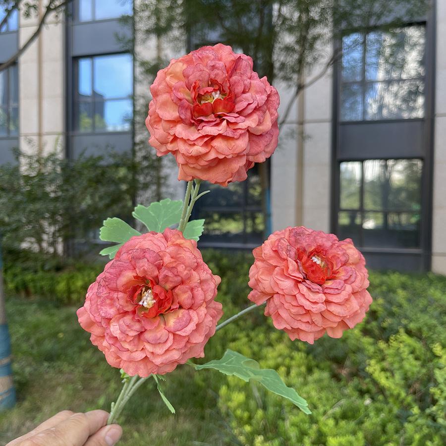 3头炫彩锦鲤-sxwhx-桔色.JPG