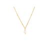 Collar sencillo de perlas de agua dulce que combinan con todo, chapado en oro de 14 quilates, collar de clavícula de perlas de lujo ligero, collar de perlas retro de celebridades de Internet