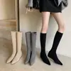 Botas Largas de Moda Otoño/Invierno 2026 de Gamuza con Punta Fina Elásticas Ajustadas al Pierna con Forro de Felpa Planas que Aumentan la Altura para Mujer
