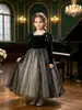 Vestido de Moda Estilo Nuevo para Niñas Frozen Elsa Vestido de Princesa Abullonado Terciopelo de Alta Gama Vestido de Princesa para Cumpleaños