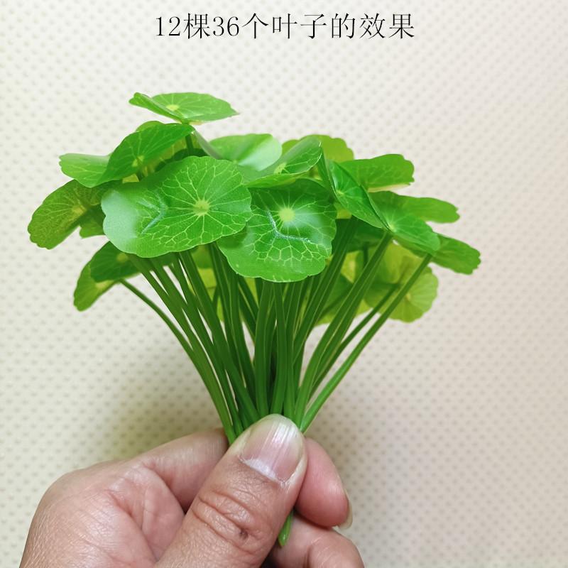 1_副本.jpg