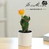 Maceta de Plástico con Flor Falsa, Suculenta Artificial Cactus Tropical Bonsái, Pequeños Adornos Creativos, Suministro Directo de Fábrica de Plantas Verdes