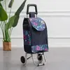 Carrito de Compras de Acero Inoxidable, Carrito Trepador de Escaleras, Carrito Grande Plegable para el Hogar para Personas Mayores, Carrito de Arrastre Manual