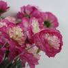 Flor artificial de loto de alta gama de 4 cabezas para belleza estilo ins decoración de mesa de café de sala de estar en casa decoración de guía de camino de boda decoración suave