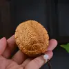 Taihang Yabai Loto Fujia Mundo Pieza de Mango Madera Maciza Tallado Integrado Caparazón de Tortuga Sostener en la Mano Pieza de Mango Fugui