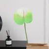 Flor Artificial de Anturio Falso Impresa en 3D Anturio de Fuego Decoración de Salón de Bodas Decoración del Hogar Planta Verde Artificial Fabricante de Flores Falsas
