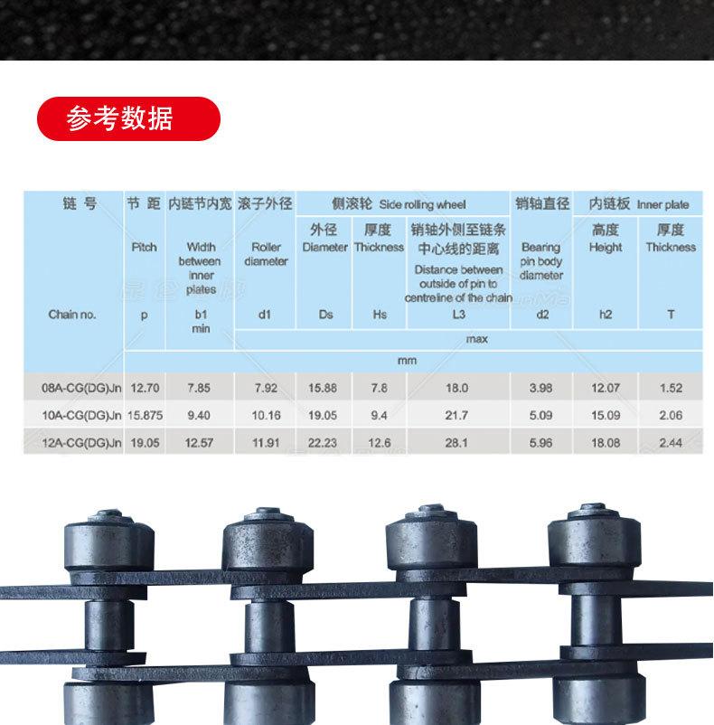 双侧导轮_12.jpg