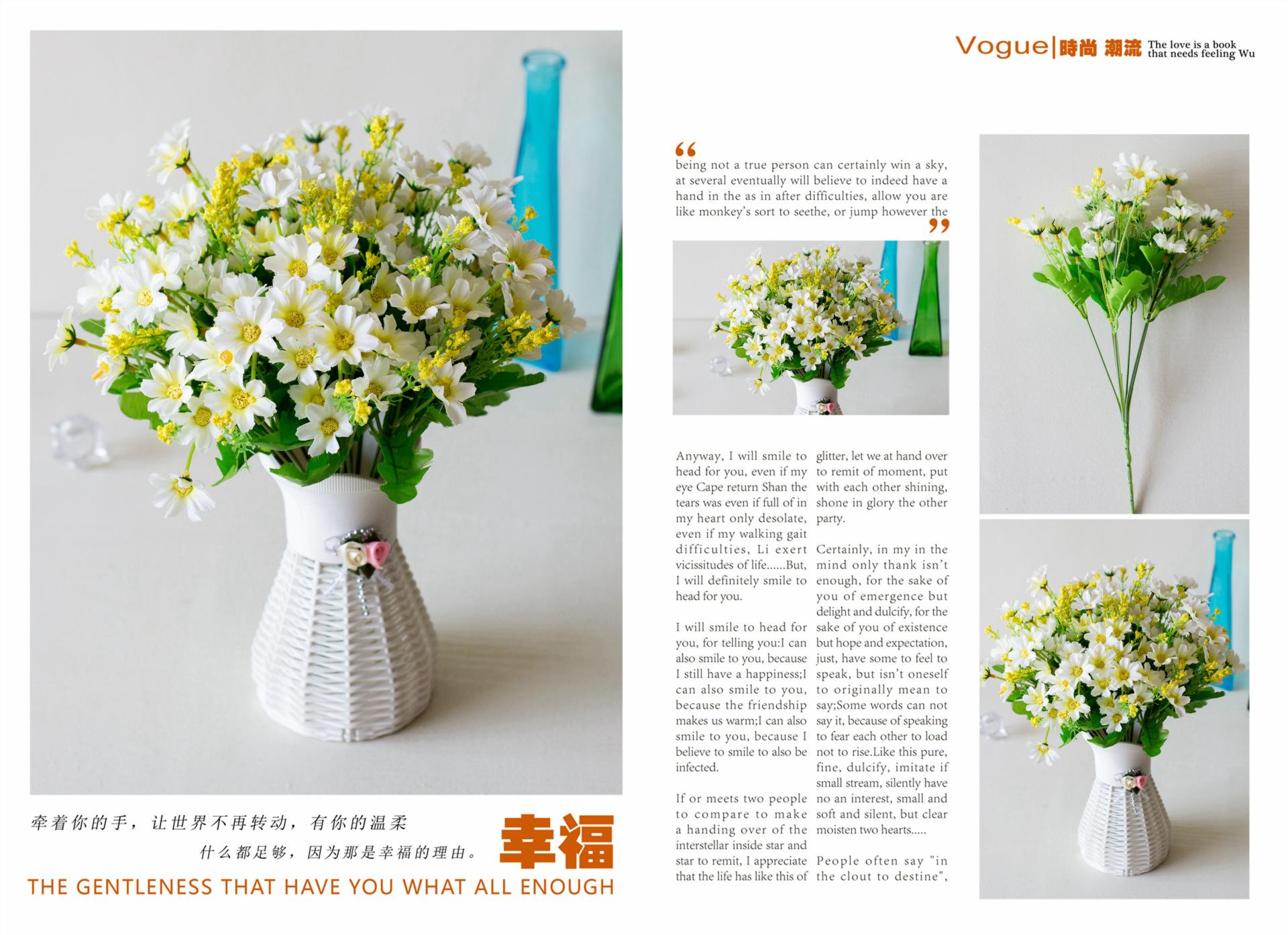 28头跳兰菊