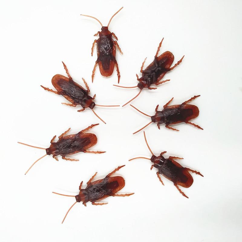 蟑螂