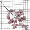 Arranjo de flores nórdico de 5 pontas com folhas de eucalipto, decoração faça você mesmo, simulação de dinheiro, folha de casamento, fotografia, decoração, folhas de eucalipto