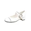 Nuevos Zapatos Mary Jane de Metal con Hebilla en Relieve para Primavera y Otoño con Tacón Grueso y Correa Baja