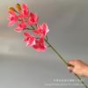 Suministro transfronterizo de flores artificiales 3D Cymbidium de alta gama para decoración de auditorios de bodas, materiales florales, accesorios para el hogar, arte floral.