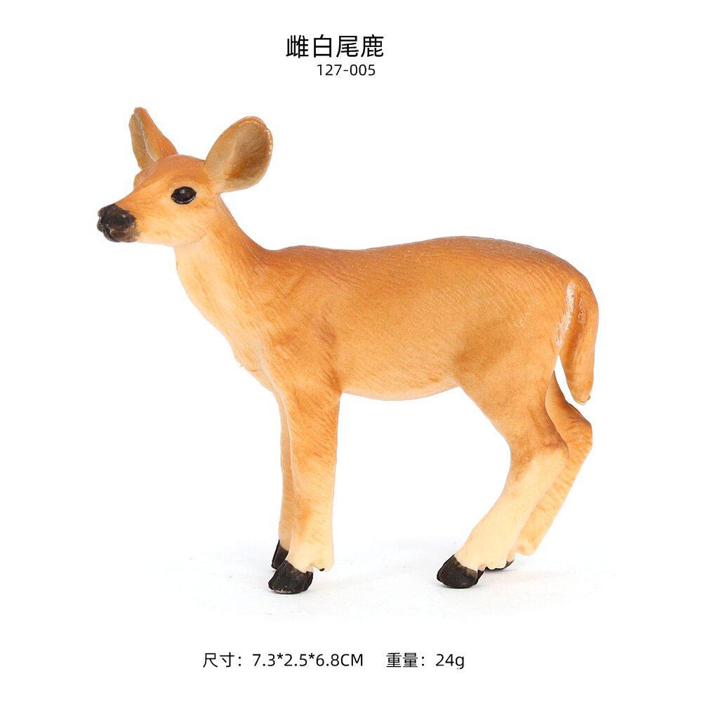尺寸