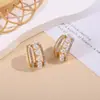 Nuevos Pendientes de Lujo Ligero para Mujer, Gama Alta, Versátiles, Aros Lisos, Diseño de Nicho, Varios Estilos de Pendientes