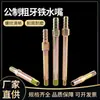Conector Hierro Fundido Boquilla Molde Rosca Gruesa Máquina de Moldeo por Inyección Métrica Extensión Tubería de Agua de Refrigeración Boquilla Conector Rápido de Púa
