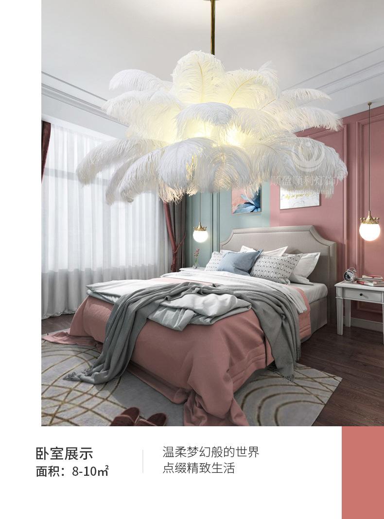 描述图_9.jpg