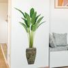 Plantas Verdes Simuladas Planta Tropical Maceta Pegatinas de Pared Decoración de Entrada de Sala de Estar Papel Tapiz de PVC Pegatinas Autoadhesivas para Dormitorio