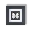 Marco con Especímenes de Mariposas Reales Naturales, Pintura Decorativa de Mariposa en Vidrio, Regalo para el Día del Maestro Festivo, Regalo de Graduación