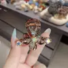 2026 Novo Prendedor de Cabelo Pequeno com Garras de Strass Acessório de Cabelo Princesa para Testa Fashionable Acessório de Cabelo de Luxo Leve Prendedor de Cabelo