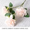 Champagne cor série simulação de material de flores salão de casamento decoração de casa de casamento rosa flor falsa arranjo de flores flor de plástico atacado