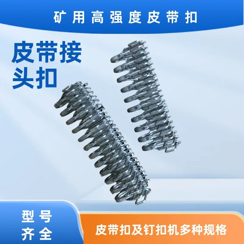 皮带扣 (37)