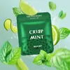 Artefato de Cessação do Tabagismo Aromático Transfronteiriço Substituinte de Menta Vareta de Fumar Bastão para Cessação do Tabagismo Bocal de Fumar para Boca Substituição de Cigarro Masculino Vareta para Cessação do Tabagismo