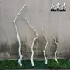 Ramas Secas, Ramas de Madera Natural, Ramas Secas Artísticas, Ramas Muertas, Troncos de Árbol, Formas de Árbol, Percheros de Pared, Decoraciones de Ramas para Techo