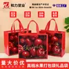 Bolsas Especializadas para Durian, Tamaño Grande, Tela No Tejida Engrosada, Papel de Aluminio, Bolsas de Regalo con Asas, Función de Conservación de Frutas, Bolsas de Embalaje Personalizadas