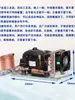 Enfriador de Agua Pequeño Pailang Qd30W 220V Circulación de Agua de Refrigeración Kit de Compresor de Microrefrigeración DIY Vidrio