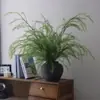 Grama de aspargo especializada para casamentos, grama decorativa e flores para casamentos, arranjos florais de casa estilo ins para nichos