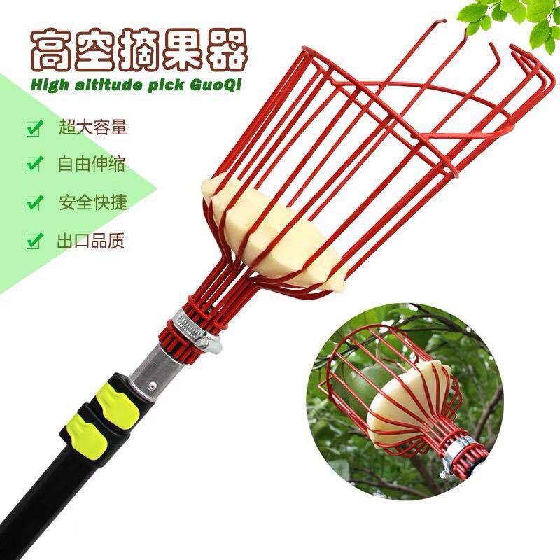 图片_201903242142471