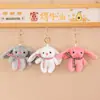 Llavero de Peluche de Dibujos Animados Muñeca Sanrio Pareja Coche Bolsa Llavero Captura Muñeca Máquina Bolsa Colgante Venta al por Mayor
