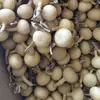 Cabaça Americana Pequena com uma Única Alça, Pingente de Cabaça Feito à Mão, Cabaça Colecionável