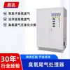 Procesador de Gases de Escape de Ozono Personalizado para Eliminar Ozono Residual de Impresoras Industriales y Plasma de Tratamiento de Gases de Escape de Ozono