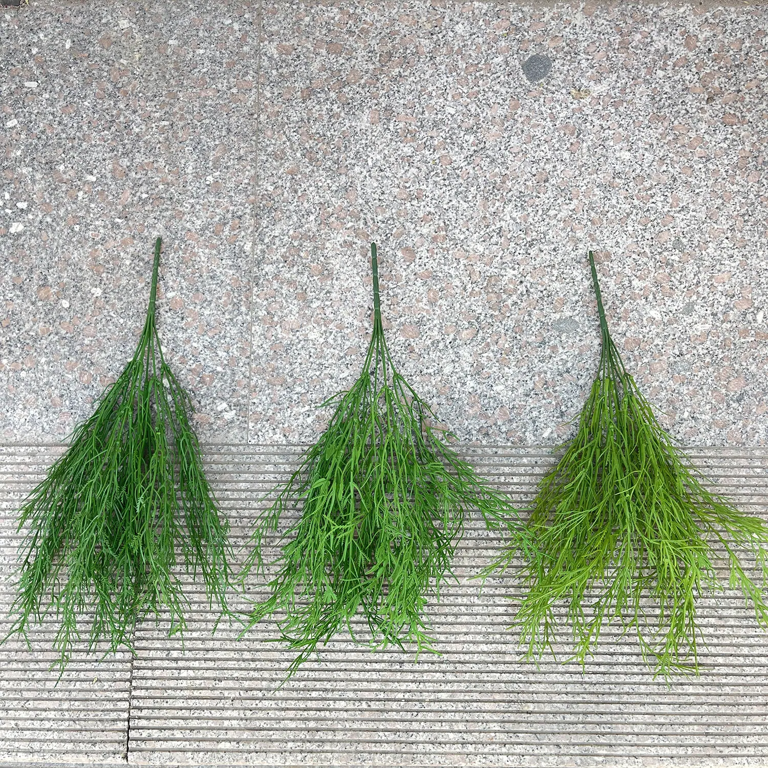 15 7叉把束芦荀草(H47cm)-色卡 2.5元.JPG