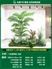 Paisagismo de Planta Artificial Varanda Arranjo de Paisagem Escada Interna Sob Árvore de Flores Artificiais Decoração Biomórfica Planta Verde Paisagismo Combinação